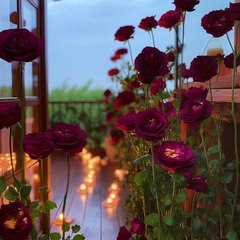 beautiful destination