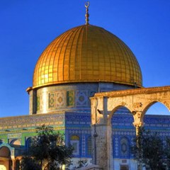 Islamic Insights