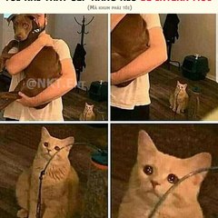 Lo Ha Sea