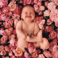 littleheart