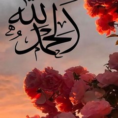 عادل للسياحة