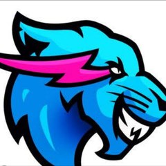MR BEAST