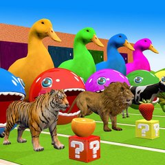 Cartoon World