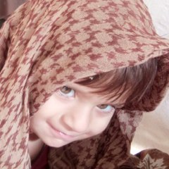 Mukhlis Writes