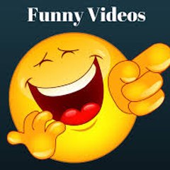 Funny videos