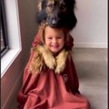 PREETY FACTS VLOGS
