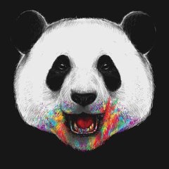 浩 张