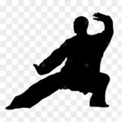 Kung Fu Frénésie