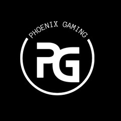 Phoenix Gaming4