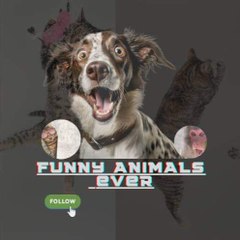 Funny animals ever