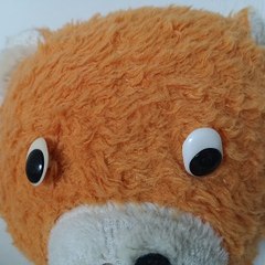 superteddy12y