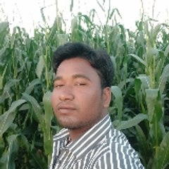 Rejaul Karim