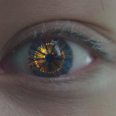 FembotCollector