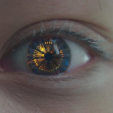 FembotCollector