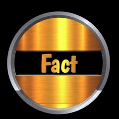 MK Fact