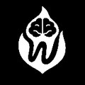 Wisdom tooth