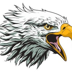 한국인 (Eagle Movie's)
