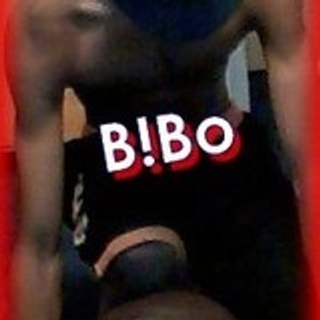 bibo
