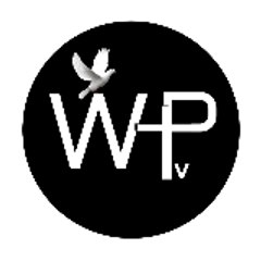 Wend-Panga Télévision