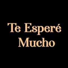Te Esperé Mucho - Seni Çok Bekledim