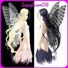 LEPAPILLON08