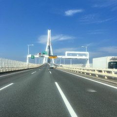 SNS動画監視