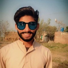 funny videos