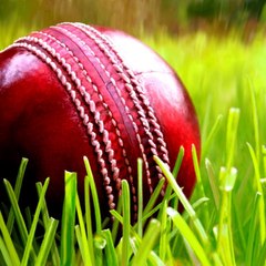 The Cricket Zone