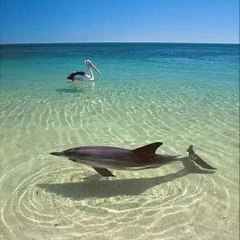 Sea and beach