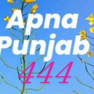 Apna Punjab 444