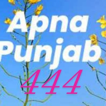 Apna Punjab 444
