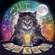 Lil kitty Tarot