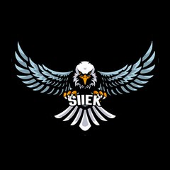 Siiek_Gaming