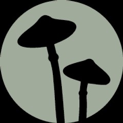 experiencepneuma