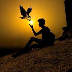 Nadan...Dil