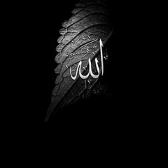Muhammad Hasnain