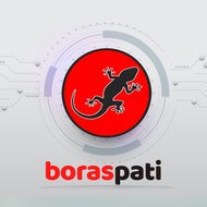 Boraspati