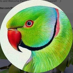 Animals lover
