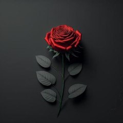Tahir hussain