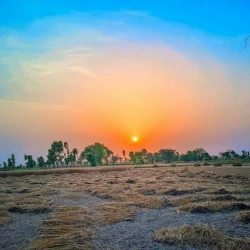 Punjab culture 6677