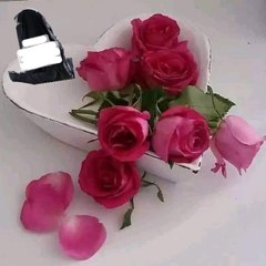 Afzal Haider