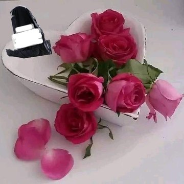 Afzal Haider