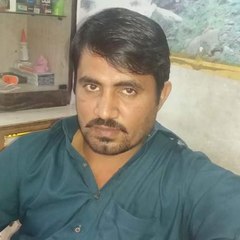 shezi66554