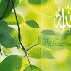 شاهد دين