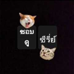 ชอบดูซีรี่ย์