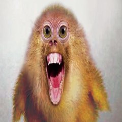 makeyoulaugh