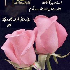 Falak Sher