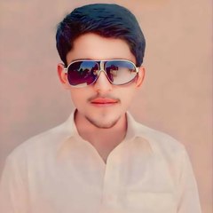 Shayan Sadam