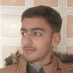 TalhaNWL