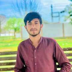 Ali Gul